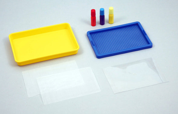 Paper making set with 3 colors of dyed paint01