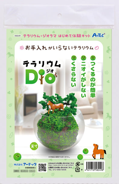 Terrarium Dio01