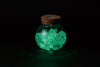Transparent pot (with light)03