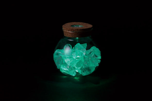 Transparent pot (with light)06