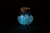 Transparent pot (with light)07