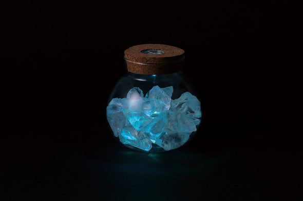 Transparent pot (with light)07
