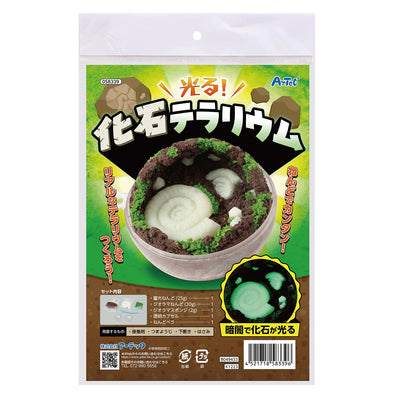 fossil terrarium01