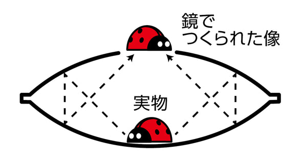 Mini 3D magic scope (with ladybug model)02