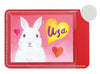 Card type compact mirror04