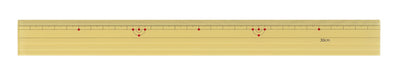 Bamboo style ruler single scale01