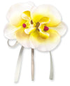 Corsage Phalaenopsis Yellow-01