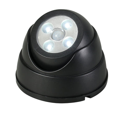 Human sensor light (dummy camera type)01