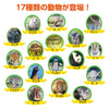 Exciting Animal Enthusiast02