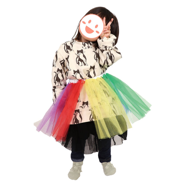 Fluffy skirt rainbow tulle skirt02