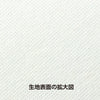 White non-woven fabric roll 10m02