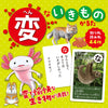 Popular Karuta 3-piece set Strange/Yokai/Weird Creatures03