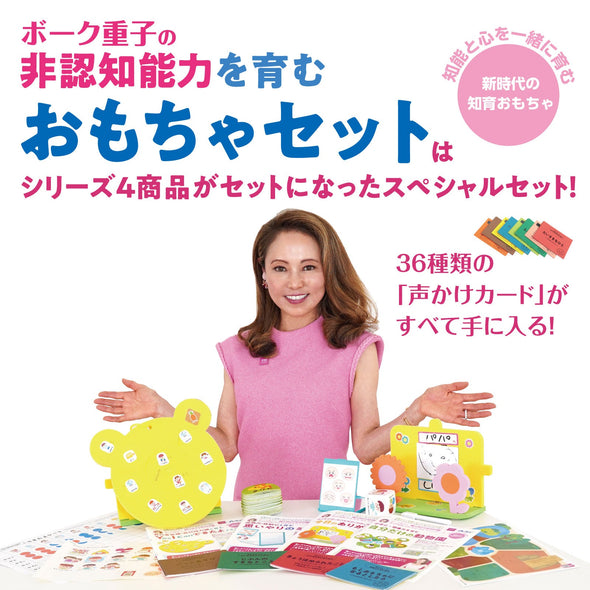 A toy set that fosters Shigeko Bok's non-cognitive abilities.02
