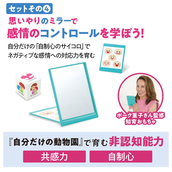 A toy set that fosters Shigeko Bok's non-cognitive abilities.06
