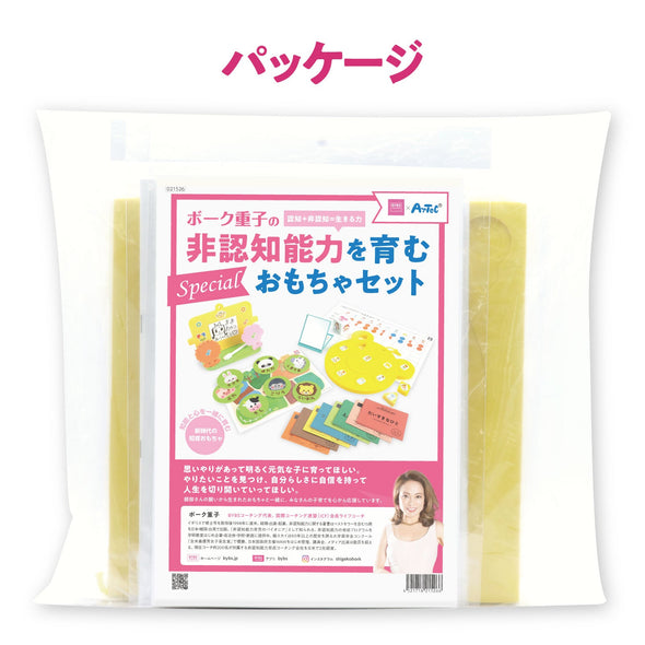 A toy set that fosters Shigeko Bok's non-cognitive abilities.010