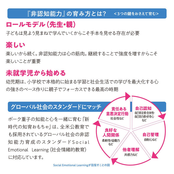 A toy set that fosters Shigeko Bok's non-cognitive abilities.015