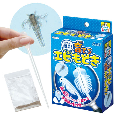 Easy! Growing shrimp01
