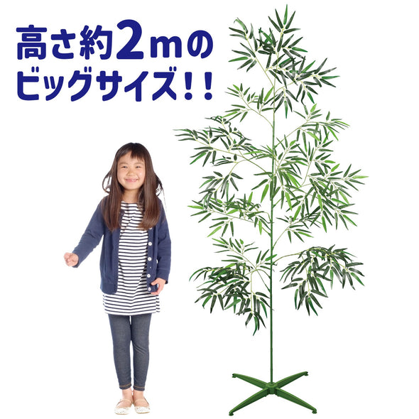 Extra large bamboo for Tanabata 2m with stand02