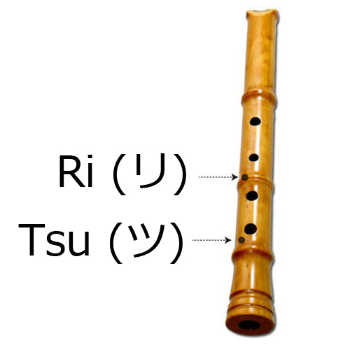 Maple Shakuhachi (w/ Node and Natural Root End) (Curved End) (Kinko) - Taiko Center Online Shop