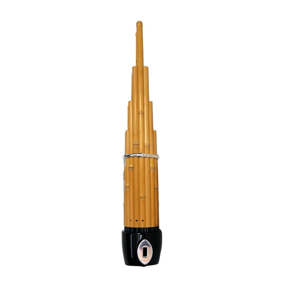 Sho (Japanese Mouth Organ) for Sale - For online shopping of Japanese ...